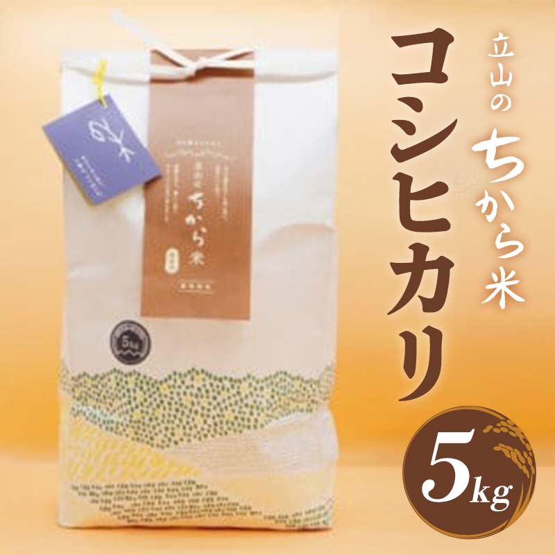 【ふるさと納税】立山のちから米 コシヒカリ 5kg×1袋 計