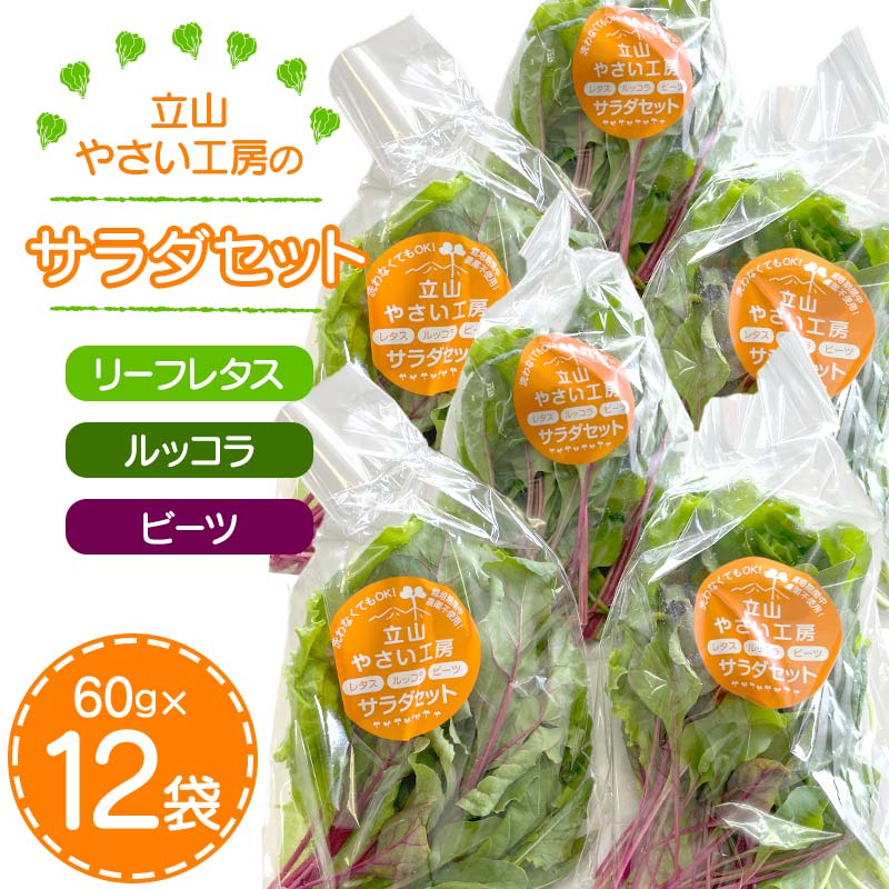 【ふるさと納税】立山やさい工房のサラダセット 60g×12袋 農薬不使用 水耕栽培 新鮮 野菜 サラダ 小分け リーフレタス ルッコラ ビーツ セット 冷蔵 国産 食品 立山やさい工房 F6T-089