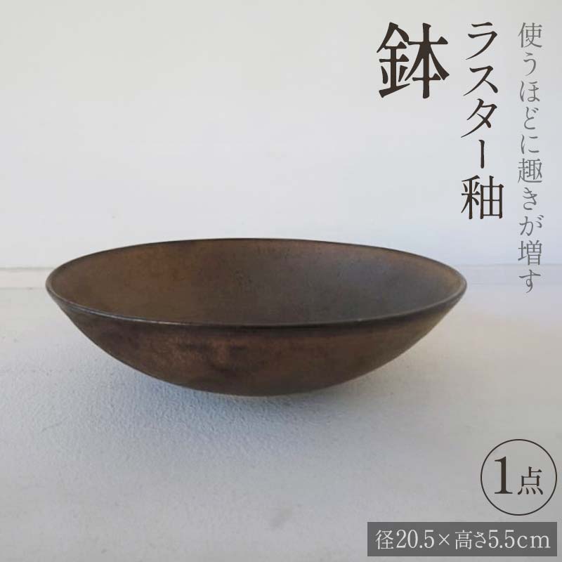 【ふるさと納税】使うほどに趣きが増す ラスター釉 鉢 1点 (径20.5×高さ5.5cm) 器 皿 食器 potter 佐藤みどり F6T-107