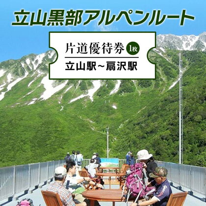 立山黒部アルペンルート ( 立山駅 ～ 扇沢駅 ※片道 ) 優待券 立山黒部貫光 観光 旅行 券 チケット 体験 トラベル 黒部 富山県 立山町 F6T-154