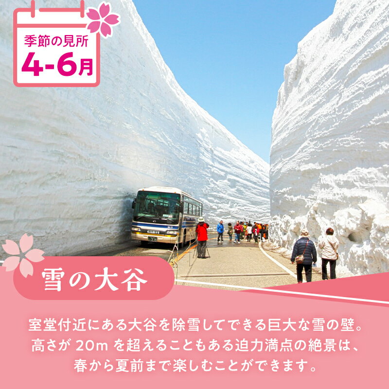 【ふるさと納税】立山黒部アルペンルート 往復優待券 1枚 (立山駅〜黒部湖駅) 往復 優待券 優待チケット 立山黒部観光 立山駅 黒部湖駅 山岳観光 アルペンルート 旅行 トラベル 観光 レジャー 優待 チケット F6T-155 3