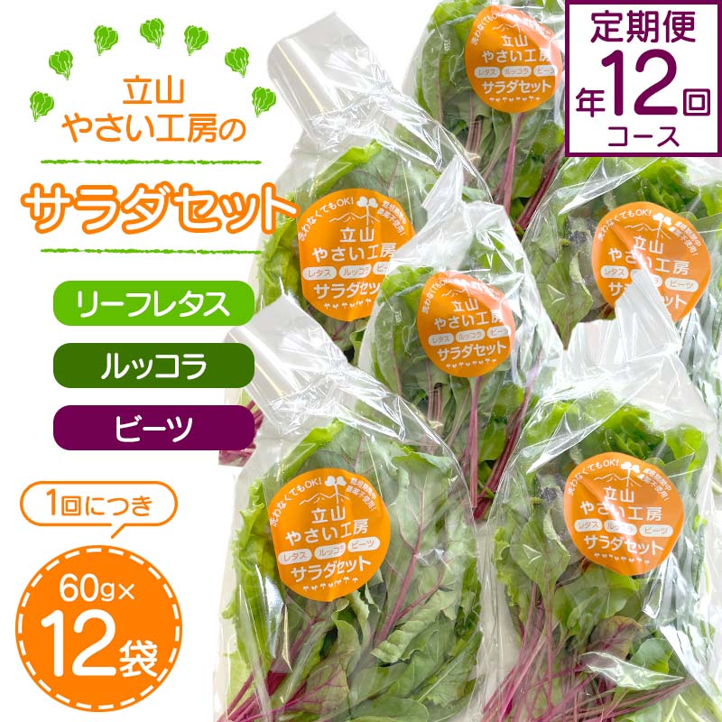 【ふるさと納税】<定期便>立山やさい工房のサラダセット 定期便年12回コース 各60g×12袋 <全12回> 定期便 12ヶ月連続 農薬不使用 新鮮 野菜 サラダ 小分け リーフレタス ルッコラ ビーツ セット 冷蔵 国産 食品 立山やさい工房 F6T-249