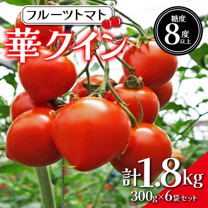 先行予約 フルーツ トマト「華クイン」300g × 6袋 セット 季実どり tomato とまと ミニトマト 野菜 詰め合わせ フルーツトマト 美味しい 早朝収穫 即日出荷 朝採れ 富山県 立山町 F6T-389