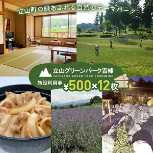 【ふるさと納税】立山グリーンパーク吉峰 施設利用券 500円×12枚 テーマパーク 自然 バーベキュー パークゴルフ アウトドア 天然温泉 F6T-456