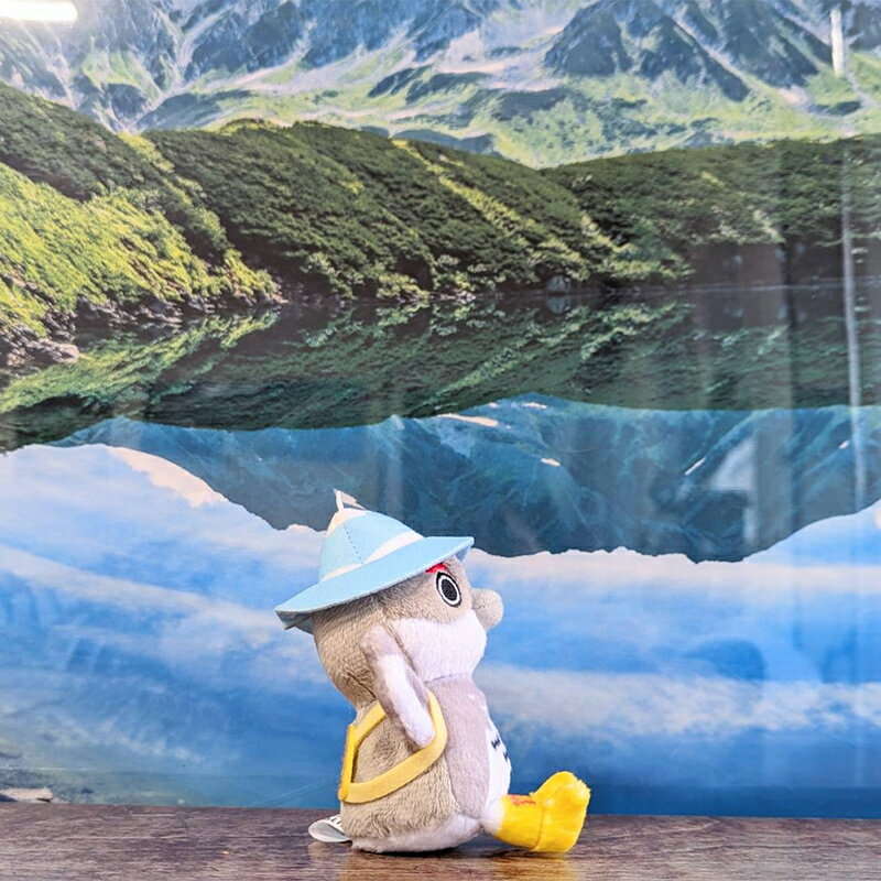 【ふるさと納税】＜らいじぃ＞マスコットキーホルダー らいじぃ ライチョウ ご当地キャラ キャラクター キーホルダー ぬいぐるみ パンフレット 富山県 立山町 F6T-474