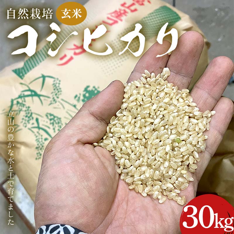 【ふるさと納税】米 自然栽培 コシヒカリ 玄米 30kg 白雪農園 お米 こしひかり 農家 美味しい 富山県 立山町 F6T-560