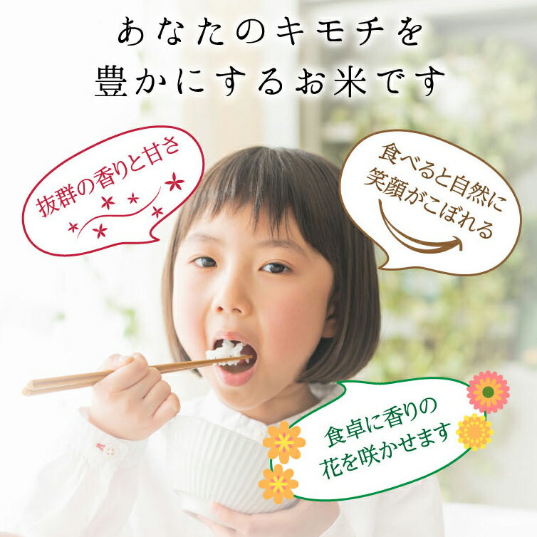 【ふるさと納税】【先行予約】特別栽培米 コシヒカリ ヒロシノキモチ 無洗米 10kg ブランド米 銘柄米 国産 米 お米 日本米 ギフト 贈り物 備蓄 防災 食品 陽咲玲 はるざれ F6T-877