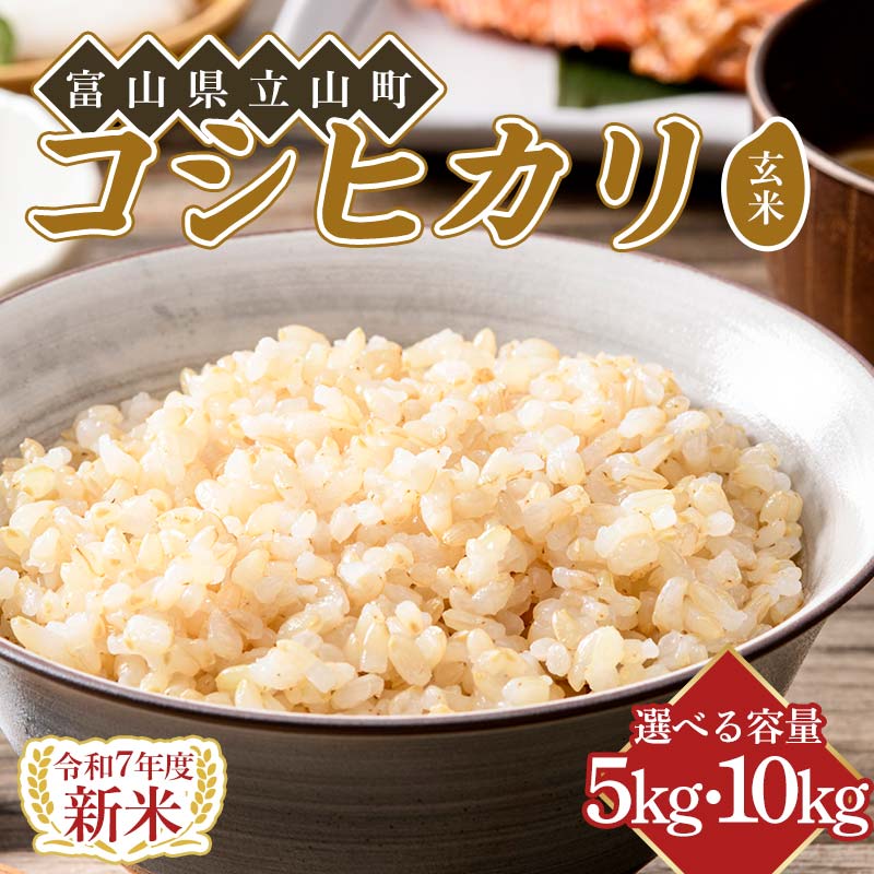 ＼選べる容量/ [新米] 令和7年度米 [コシヒカリ 玄米 5kg 10kg] 横山ファーム 米 こしひかり 富山県 立山町 F6T-615var