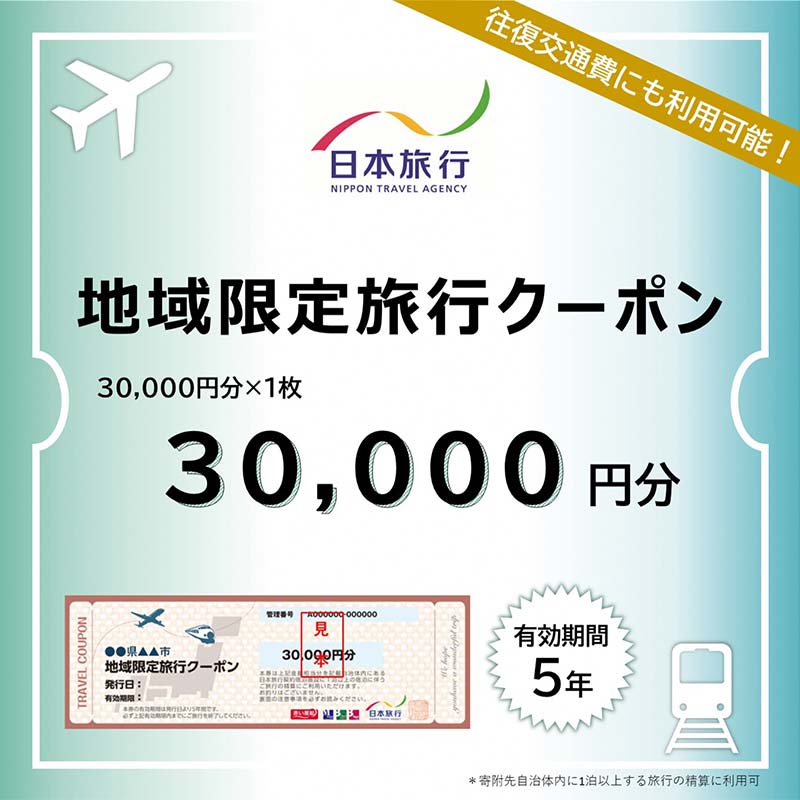 【ふるさと納税】富山県立山町 日本旅行 地域限定旅行クーポン30,000円分 旅 旅行 観光 レジャー チケット クーポン 立山観光 F6T-755
