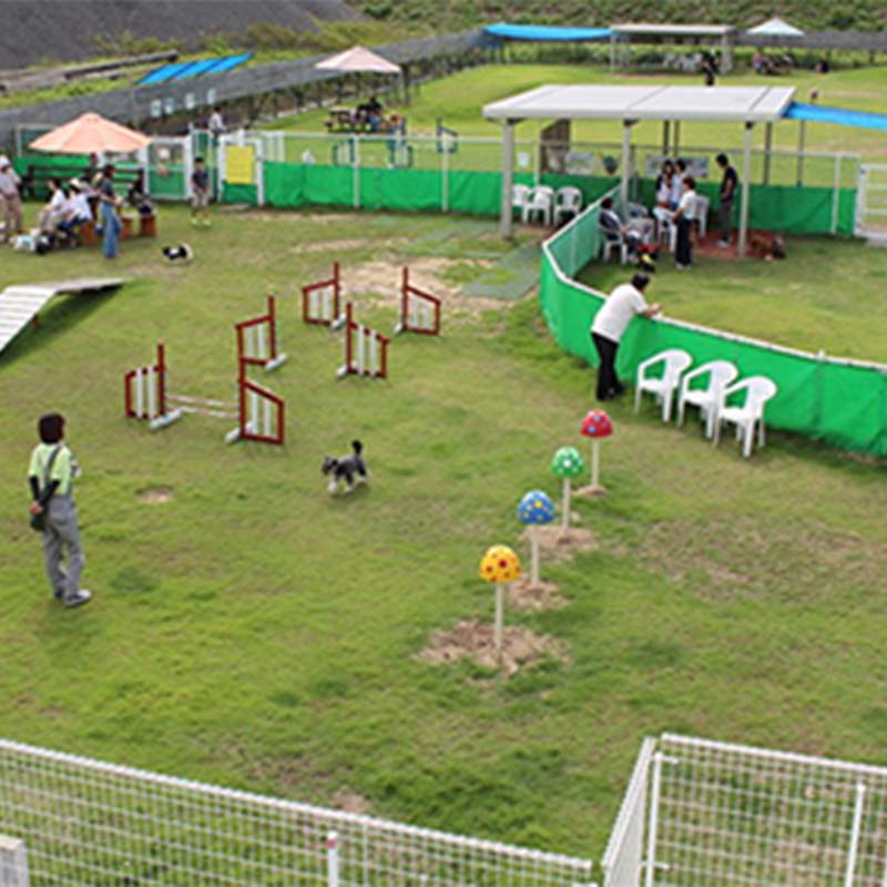 【ふるさと納税】ドッグラン回数券 3回分（3,000円分）体験 ペット 犬 体験チケット チケット F6T-804