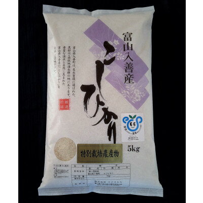 令和5年産　特別栽培米こしひかり　精米5kg【1150263】