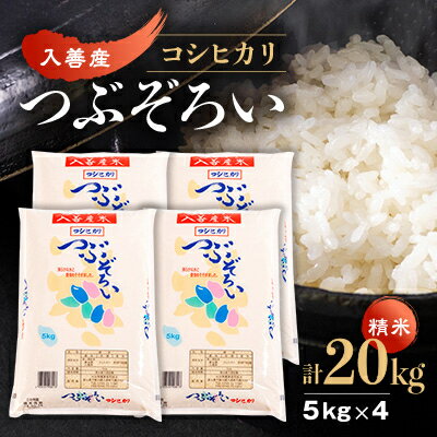 9位! 口コミ数「0件」評価「0」入善産コシヒカリ20kg【1212928】