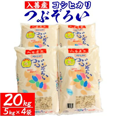 入善産コシヒカリ20kg【1212928】