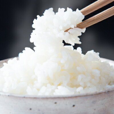 【ふるさと納税】黒部川あらせ米 5kg【1235330】