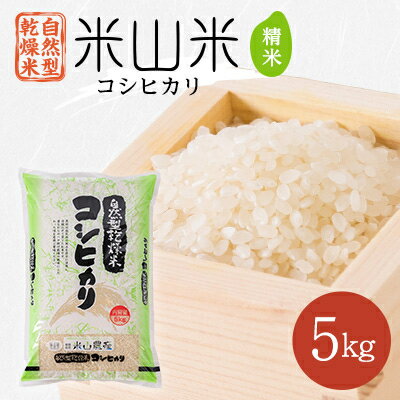 【ふるさと納税】自然型乾燥特栽米コシヒカリ(米山米)精米5kg×1袋【1364720】