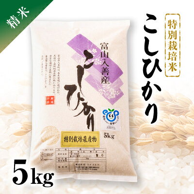 令和8年産 特別栽培米こしひかり 精米5kg