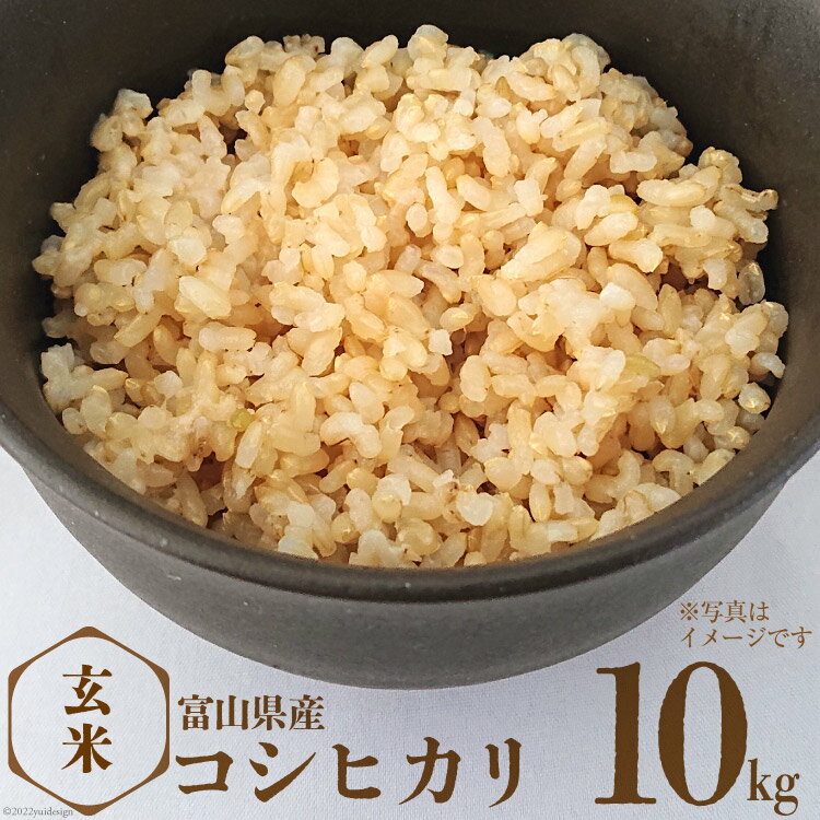 【ふるさと納税】米 コシヒカリ 玄米 10kg [サンライス
