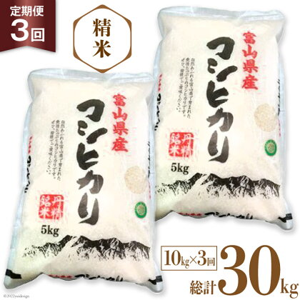 3回 定期便 お米 コシヒカリ 精米 10kg×3回 総計30kg [サンライス青木 富山県 朝日町 34310018] 米 ごはん 白米 こしひかり 富山県産 30キロ