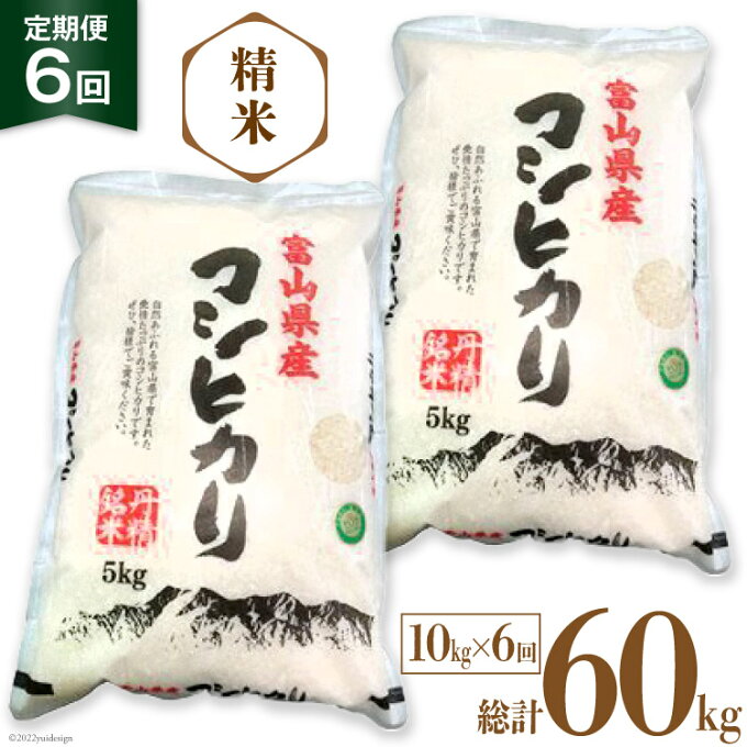 【ふるさと納税】6回 定期便 お米 コシヒカリ 精米 10kg×6回 総計60kg / サンライス青木 / 富山県 朝日町 [34310019] 米 ごはん 白米 こしひかり 富山県産 60キロ