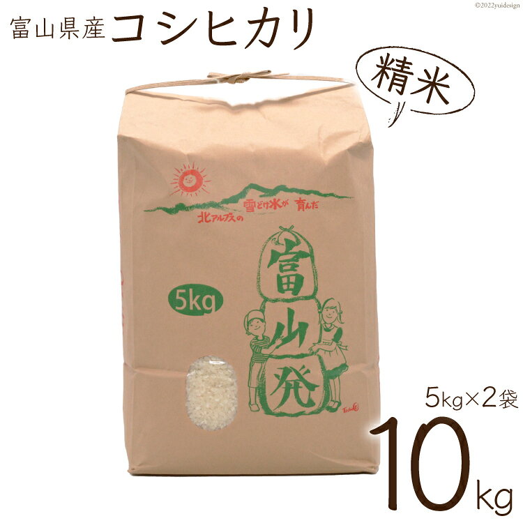 【期間限定発送】 米 令和6年 コシヒカリ 精米 10kg ( 5kg ×2) [チュリストやまざき 富山県 朝日町 34310428] こしひかり お米 白米 ごはん 農家 直送 皇室献上 美味しい 10キロ 5キロ