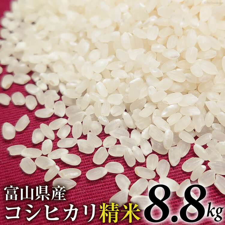 【ふるさと納税】米 令和5年 コシヒカリ 精米 8.8kg / TAGOSAKU / 富山県 朝日町 [34310216] お米 白...