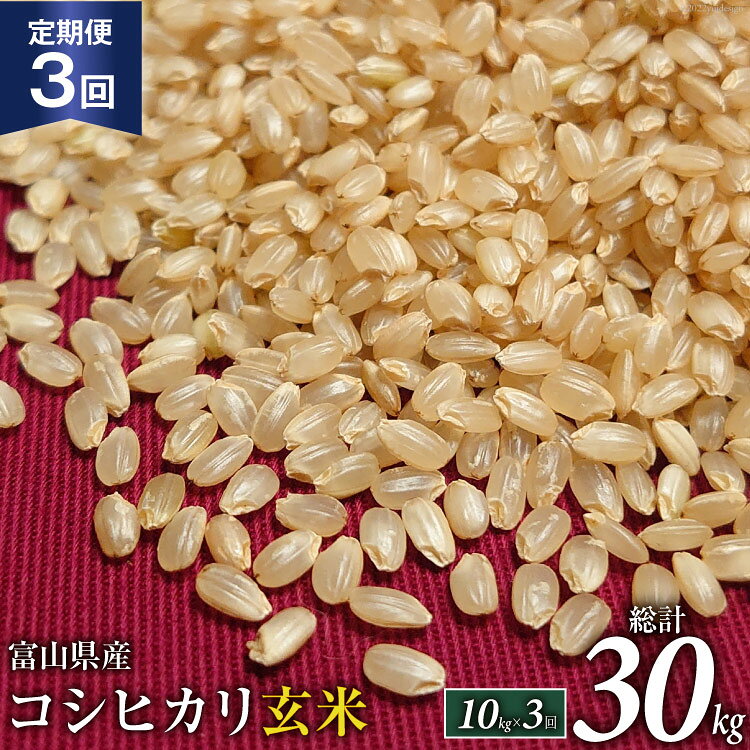 定期便 米 令和4年 コシヒカリ 玄米 10kg×3回 / TAGOSAKU / 富山県 朝日町 [34310219]