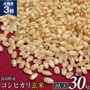 【ふるさと納税】定期便 米 令和4年 コシヒカリ 玄米 10kg×3回 / TAGOSAKU / 富山県 朝日町 [34310219]