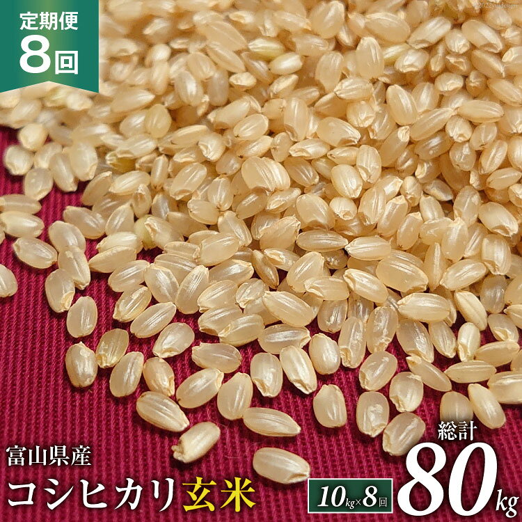 定期便 米 令和4年 コシヒカリ 玄米 10kg×8回 / TAGOSAKU / 富山県 朝日町 [34310221]