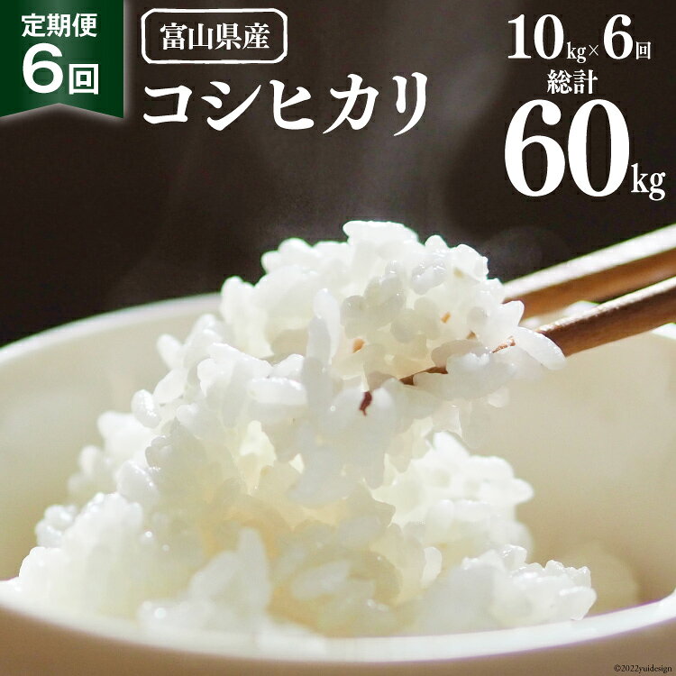 【期間限定発送】 6回 定期便 米 令和6年 コシヒカリ 精米 10kg ×6回 計 60kg [マッキーファーム 富山県 朝日町 34310319] お米 白米 こしひかり 美味しい 農家 直送