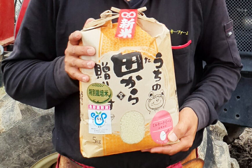 【ふるさと納税】 【期間限定発送】 3回 定期便 米 令和7年 特別栽培米 ミルキークイーン 精米 5kg ×3回 計 15kg [マッキーファーム 富山県 朝日町 34310561] お米 白米 美味しい 農家 直送