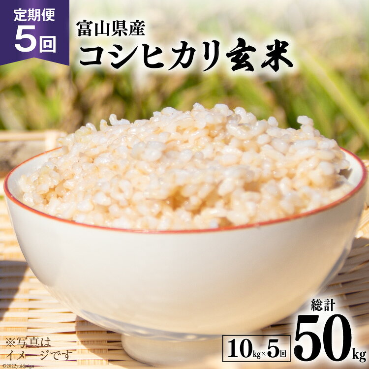5回 定期便 米 コシヒカリ 玄米 10kg ×5回 総計 50kg [アグリ金山 富山県 朝日町 34310434] お米 美味しい こしひかり ご飯 ごはん 富山県産 数量限定 農家 直送