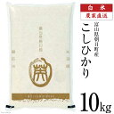 【ふるさと納税】米 令和5年 こしひかり 精米 10kg / クリーンみず穂 / 富山県 朝日町 34310251 お米 コシヒカリ コメ ご飯 ごはん 白米 農家 直送 一等米