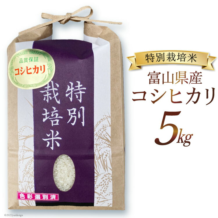 米 令和5年 特別栽培米 コシヒカリ 精米 5kg / マッキーファーム / 富山県 朝日町 [34310317] お米 白米 こしひかり 美味しい 農家 直送