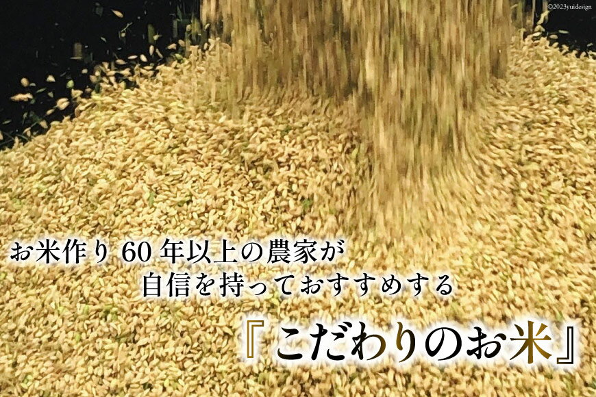 【ふるさと納税】米 コシヒカリ 精米 10kg ( 5kg × 2袋 ) / サンライス青木 / 富山県 朝日町 [34310017] お米 ごはん 白米 こしひかり 富山県産 10キロ