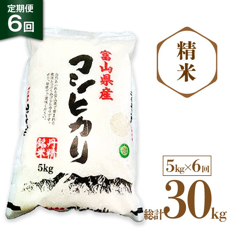 【ふるさと納税】 米 令和8年産 コシヒカリ 精米 5kg 6回 定期便 [サンライス青木 富山県 朝日町 34310563] お米 おこめ こめ kome コシヒカリ 精米 定期便 定期 5キロ 6ヶ月 令和8年 ごはん