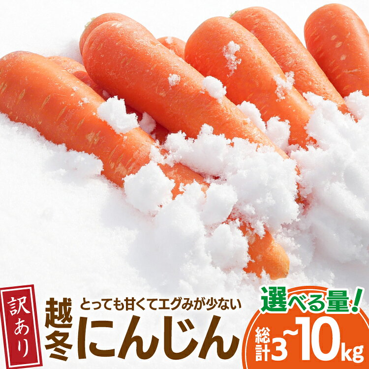 にんじん 訳あり 北陸富山の越冬人参！ 選べる 内容量【期間限定発送】[マッキーファーム 富山県 朝日町 34310656]人参 野菜 訳アリ ワケアリ わけあり 人参 ニンジン キャロット 3キロ 5キロ 10キロ やさい ヤサイ 常備野菜 国産 甘い あまい