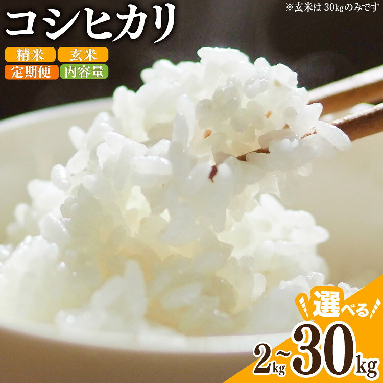 米 令和8年 コシヒカリ 精米 30kg