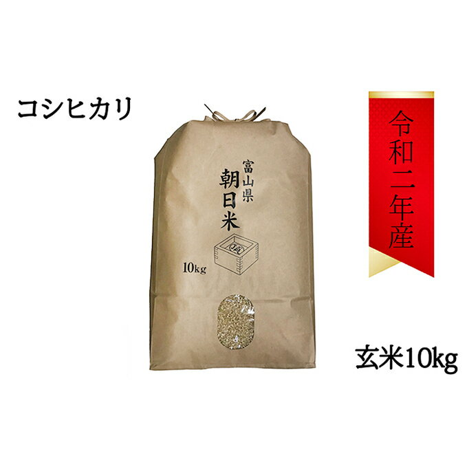 【ふるさと納税】数量限定!あさひのコシヒカリ玄米10kg 【お米・コシヒカリ・玄米・米】 お届け:2021年9月下旬まで