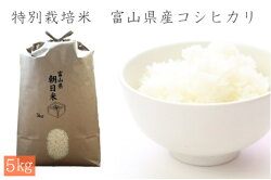 【ふるさと納税】【令和3年産】あさひの特別栽培米 コシヒカリ 5kg【富山 朝日町 精米 こしひかり】　【お米・コシヒカリ・減農薬、化学肥料なし】　お届け：2021年10月上旬より順次出荷･･･ 画像1