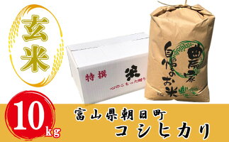 記事ID36538のサムネイル画像