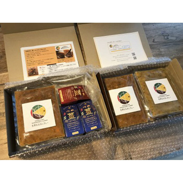 【ふるさと納税】新感覚のスパイス調味料 「薑」はじかみ(3個)とカレー(12袋)のセット | 調味料 激辛 薑 はじかみ 詰め合わせ 有名店 人気店 食品 おうちごはん お取り寄せ グルメ ご当地 ギフト 真空 冷凍 石川県