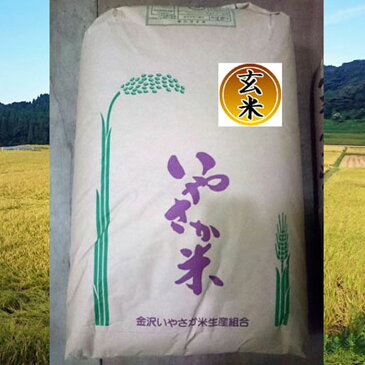 【ふるさと納税】金沢いやさか米 コシヒカリ（玄米）30kg