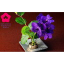 【ふるさと納税】花をみずみずしく長持ち!針のない剣山 / Hana-L | けんざん ケンザン 華道 生花 フラワーアレンジメント 花瓶 いけばな ギフト gi...