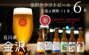 【ふるさと納税】ビール 地ビール 6種 6本 セット | クラフトビール 酒 お酒 さけ sake アルコール ご当地 オリエンタルブルーイング 人気 おすすめ 飲み比べ 飲みくらべ 果物 くだもの スタウト IPA お取り寄せ 石川県 金沢市