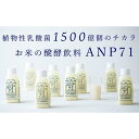 お米の醗酵飲料 ANP71 冷蔵 150g×12本 | 石川 金沢 加賀百万石 加賀 百万石 北陸 北陸復興 北陸支援