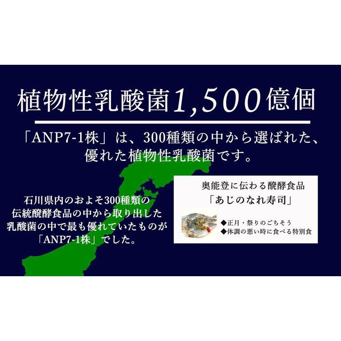 【ふるさと納税】【乳酸菌1500億個】お米の醗酵飲料 ANP71 冷蔵 150g×12本