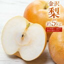 24位! 口コミ数「0件」評価「0」先行予約☆JA金沢市 金沢梨 5kg