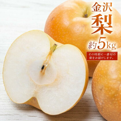 先行予約☆JA金沢市 金沢梨 5kg