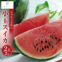 【ふるさと納税】【2025年6月中旬〜発送】【先行予約】小玉スイカ 2kg(2玉) | フルーツ 果物 くだもの 食品 人気 おすすめ 送料無料
