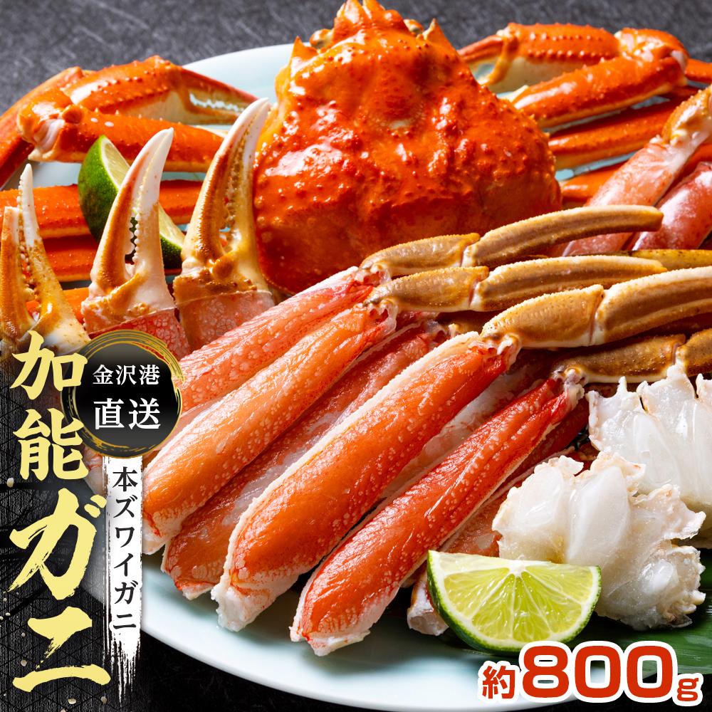 【ふるさと納税】【先行予約】金沢港より直送!ボイル加能ガニ(大) | 石川 金沢 加賀百万石 加賀 百万石 北陸 北陸復興 北陸支援